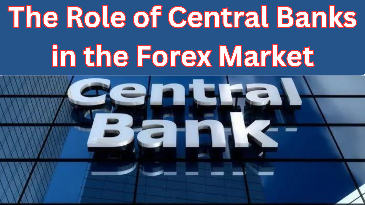 The Role of Central Banks in the Forex Market: